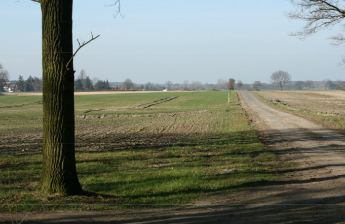 Rede „Glyphosat“ von Nicole Wockenfuß