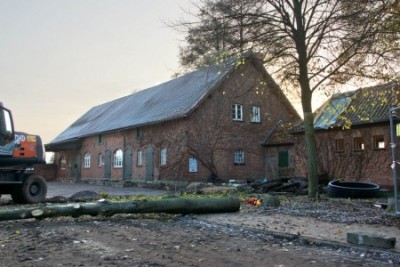 Baumfällung Burg Brome