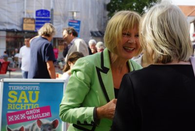 Brigitte Pothmer (MdB)