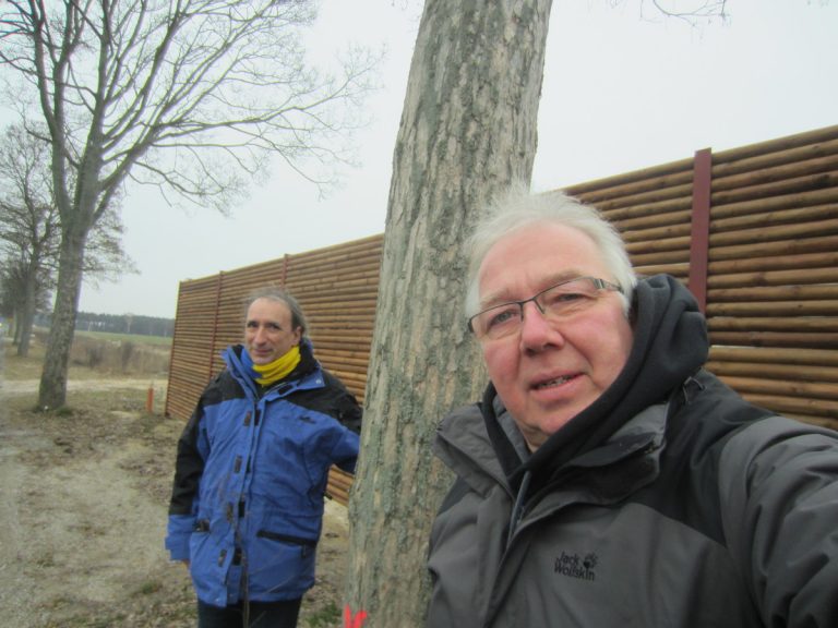 Hilferuf aus Bechtsbüttel: es droht Abholzung ortsbildprägender Bäume