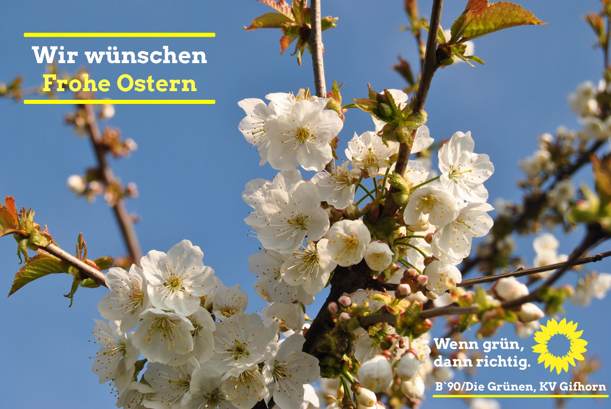 Frohe Ostern vom KV Gifhorn