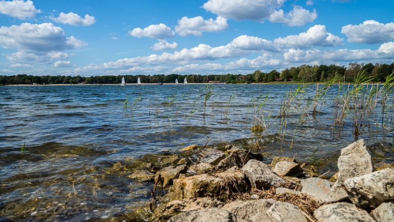 Kommentar zur Amtsführung unseres Landrates