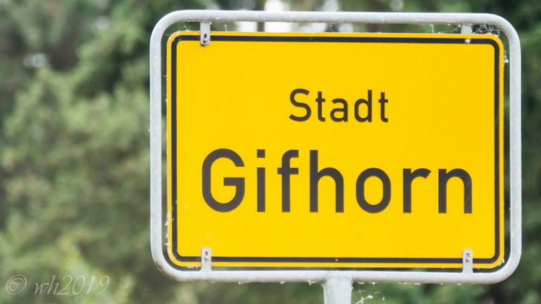 Stadtrat Gifhorn 15.06.2020 Rede Susanne Kliche „Auflösung der Schulbezirke in den Ortsteilen“