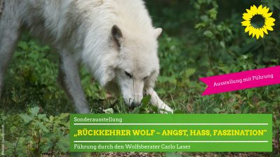 Sonderausstellung „Rückkehrer Wolf" @ Historisches Museum Schloss Gifhorn