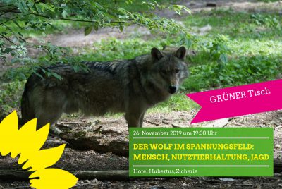 Der Wolf im Spannungsfeld: Mensch, Nutztierhaltung, Jagd @ Hotel Hubertus