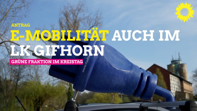 Umstellung des Fuhrparks des Landkreises Gifhorn auf E-Mobilität