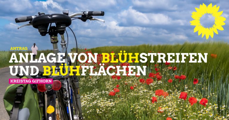 Anlage von Blühstreifen und Blühflächen