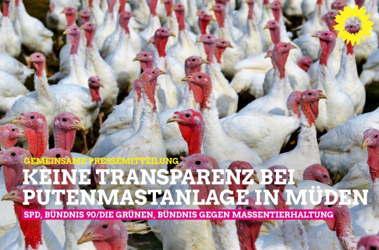 Keine Transparenz bei Putenmastanlage in Müden