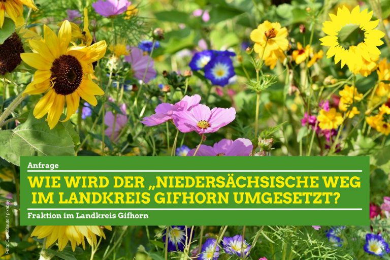 Wie wird der „Niedersächsische Weg im Landkreis Gifhorn umgesetzt?