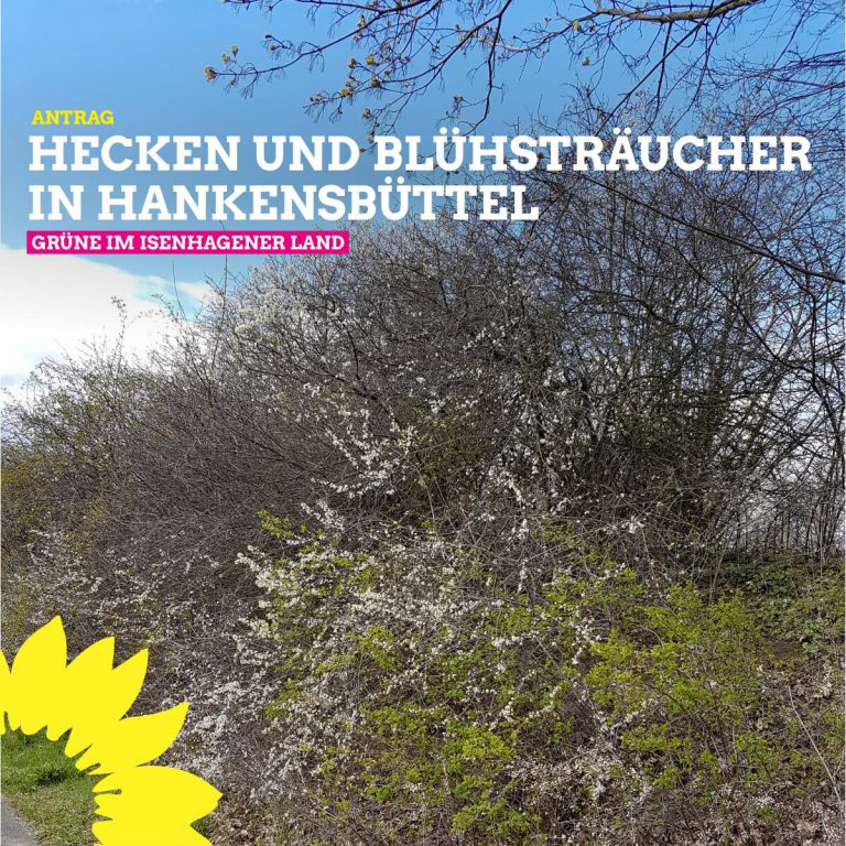 Hecken und Blühsträucher