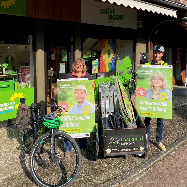 Wahlbereich II Gifhorn Süd / Winkel