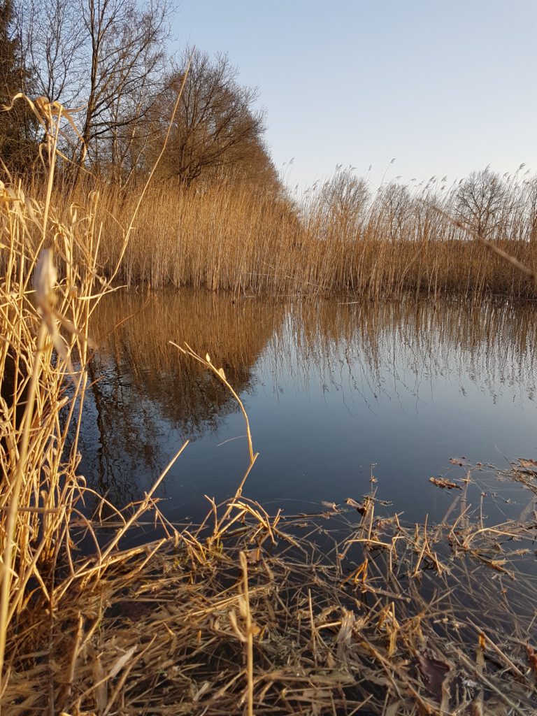 Tag des Wassers: Grundwasser, der unsichtbare Schatz