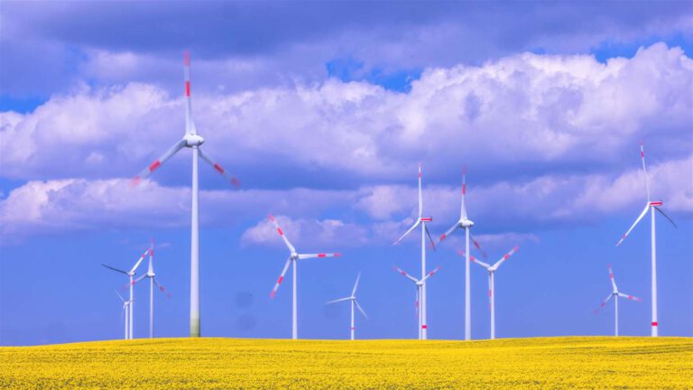 Windkraft in der Gemeinde Sassenburg?