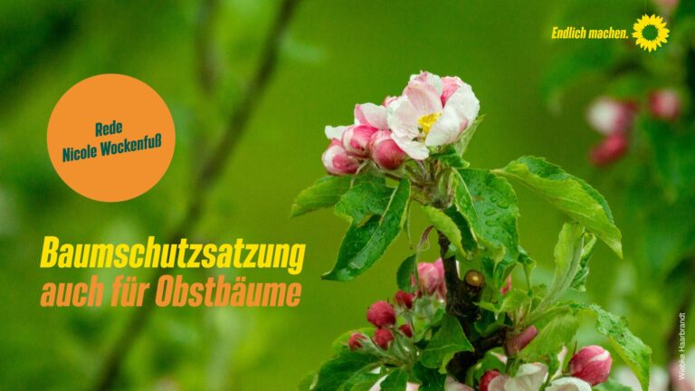 Aufnahme von Obstbäumen in die Baumschutzsatzung