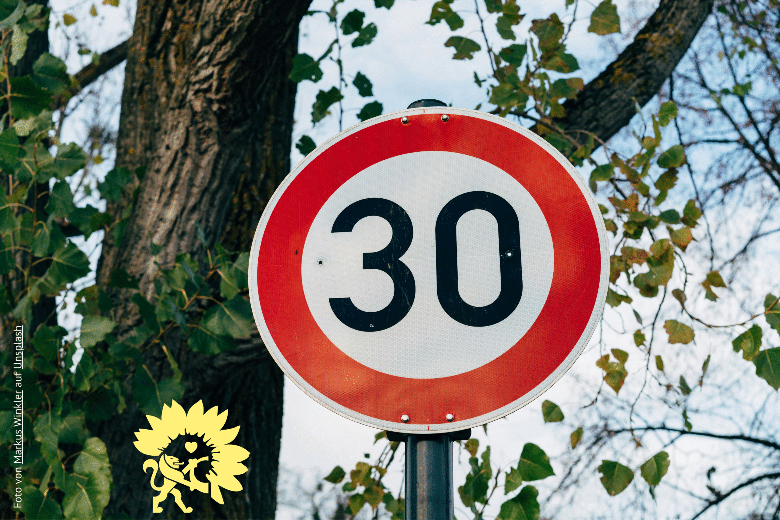 Tempo-30-Schild vor einem Baum