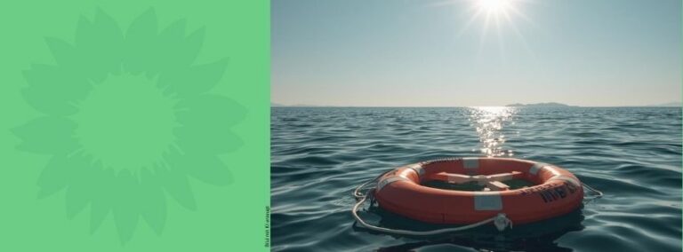 Grüne Gifhorn verurteilen Angriff auf Seenotrettungsschiff „Ocean Viking“ und fordern Konsequenzen von der EU