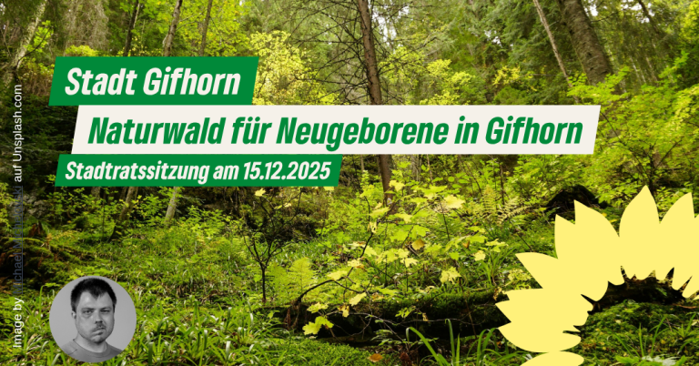 Unser Wald wird Naturwald – für jedes neugeborene Kind 10 m²