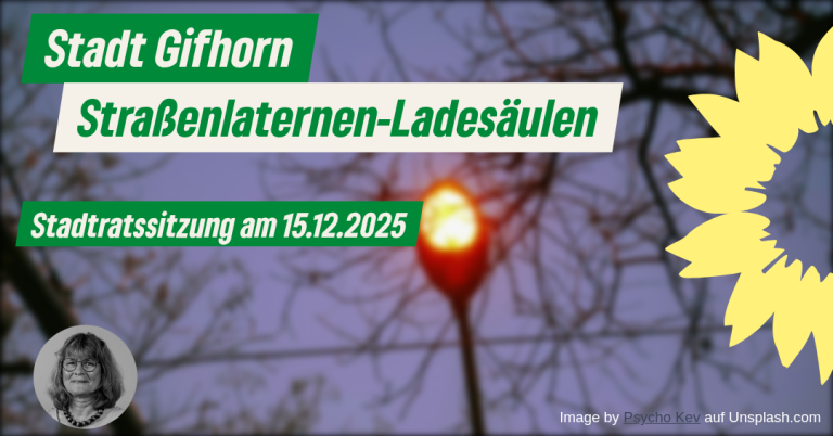 Umbau von Straßenlaternen zu Ladesäulen von E-Autos