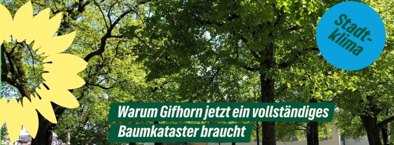 Stellungnahme B90/Die Grünen, Fraktion im Rat der Stadt Gifhorn zu: Wie kaputt sind die 20.000 Bäume der Stadt Gifhorn wirklich? Artikel Gifhorner Rundschau vom 24.01.2026